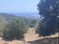 Продава ПАРЦЕЛ, област Варна, с. Доброглед • 1620000 € • 16358703 — Holmes.bg