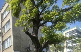 Обява продава 2-стаен, град Варна, Окръжна болница-Генерали