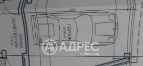 ����� ������� �����,���� �����, ������ �