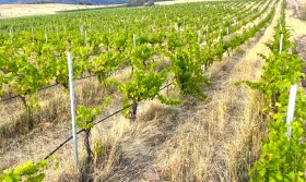 ����� ������� ���������� ����,��. �����, ������ �������