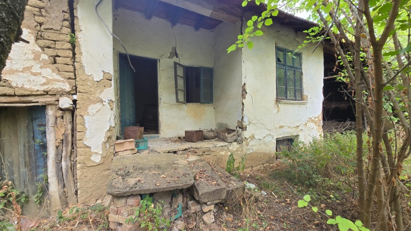 Продава КЪЩА, с. Дичин, област Велико Търново, снимка 2 - Къщи - 52009988