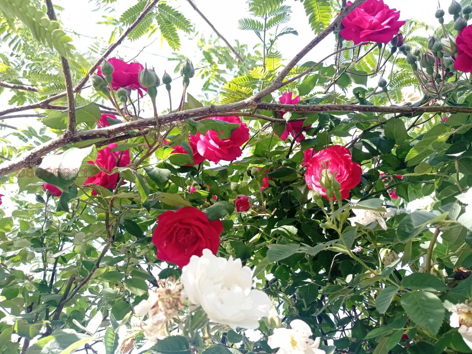 ������� ���� | Imot.bg � ����������� 4