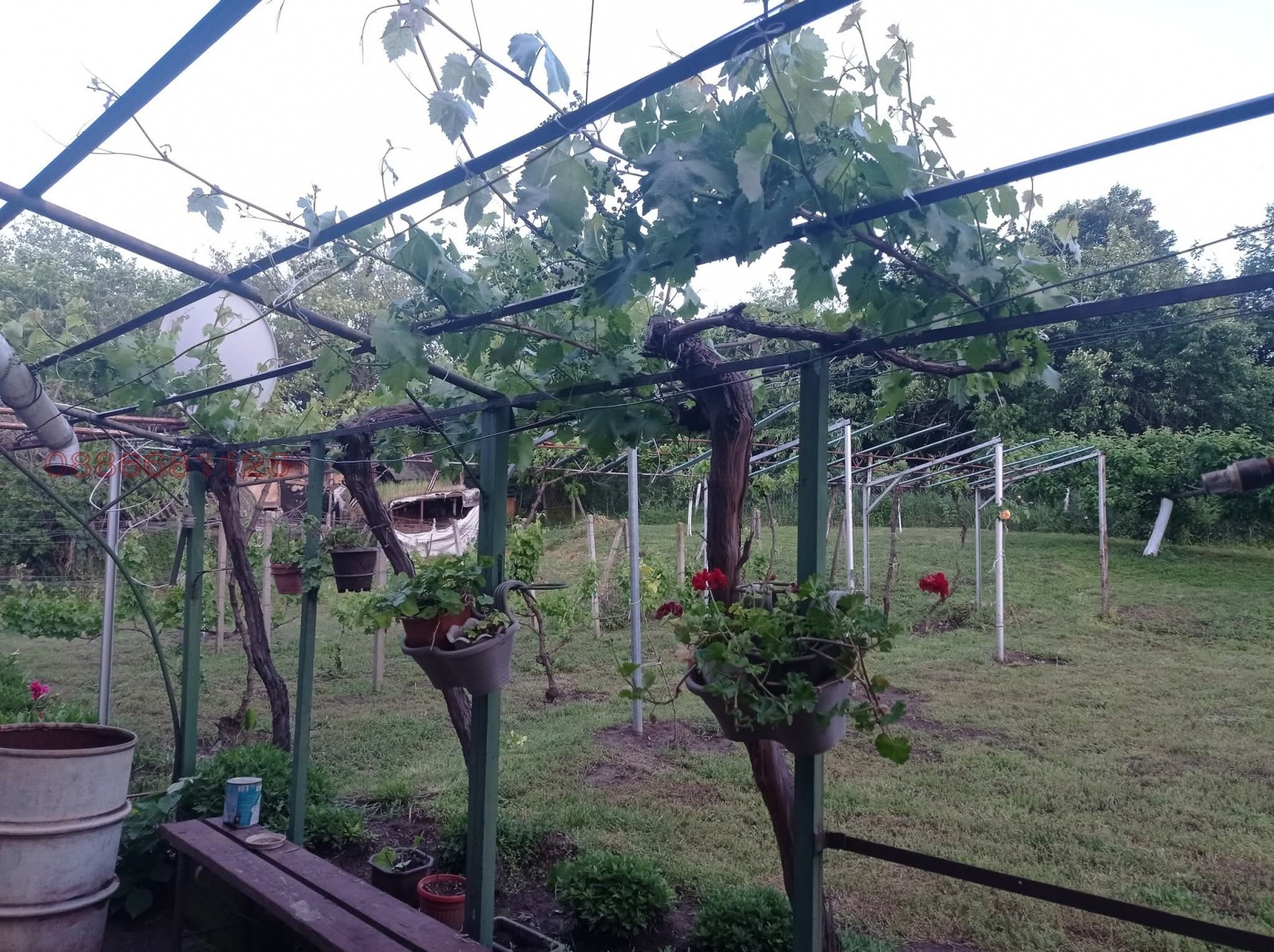 ������� ���� | Imot.bg � ����������� 1