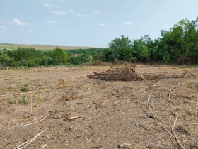 Къща с. Павел, област Велико Търново 8