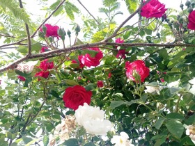 ������� ���� | Imot.bg � ����� ������ 4