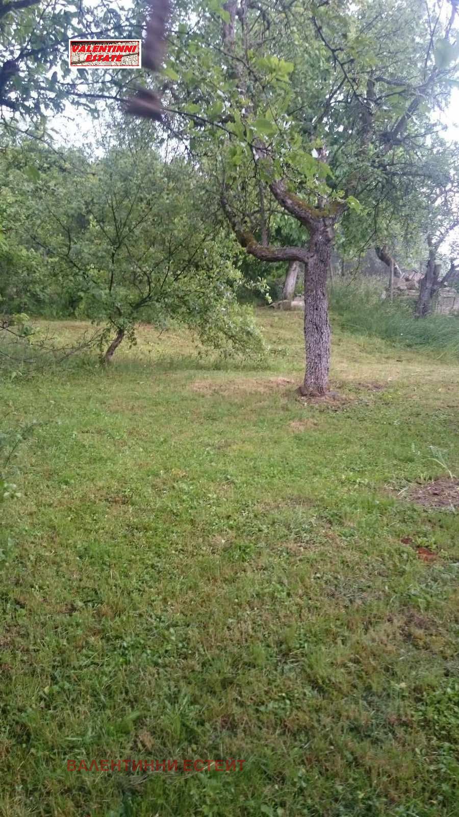 Продава КЪЩА, с. Извор, област Перник, снимка 5 - Къщи - 55415760