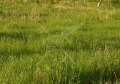Продава ПАРЦЕЛ, област Пловдив, с. Добралък • 100000 € • 60244360 — Holmes.bg