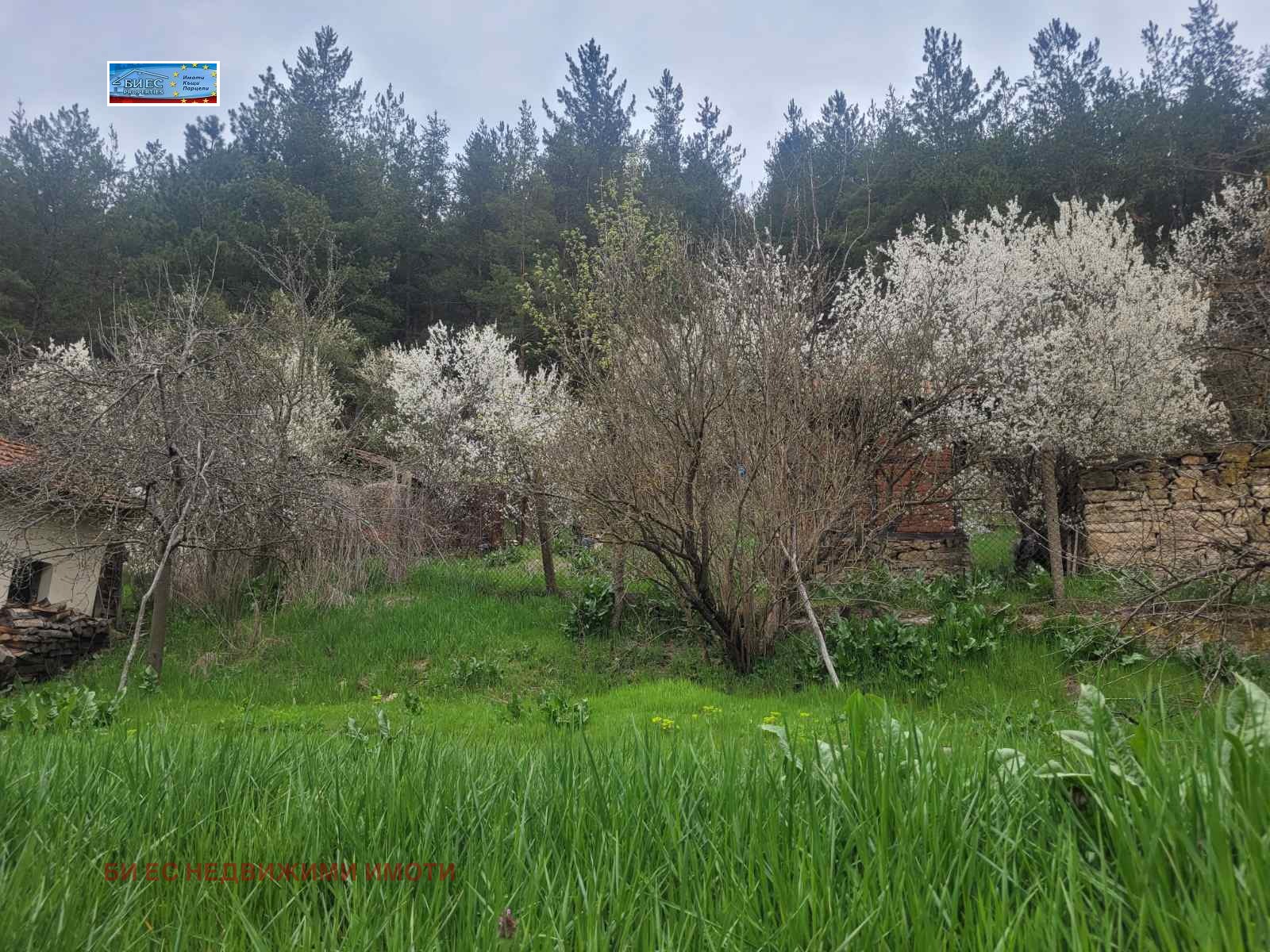 Продава КЪЩА, с. Филиповци, област Перник, снимка 2 - Къщи - 54260360