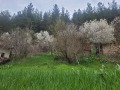 Продава  Къща област Перник , с. Филиповци , 75 кв.м | 50719892 - изображение [2]