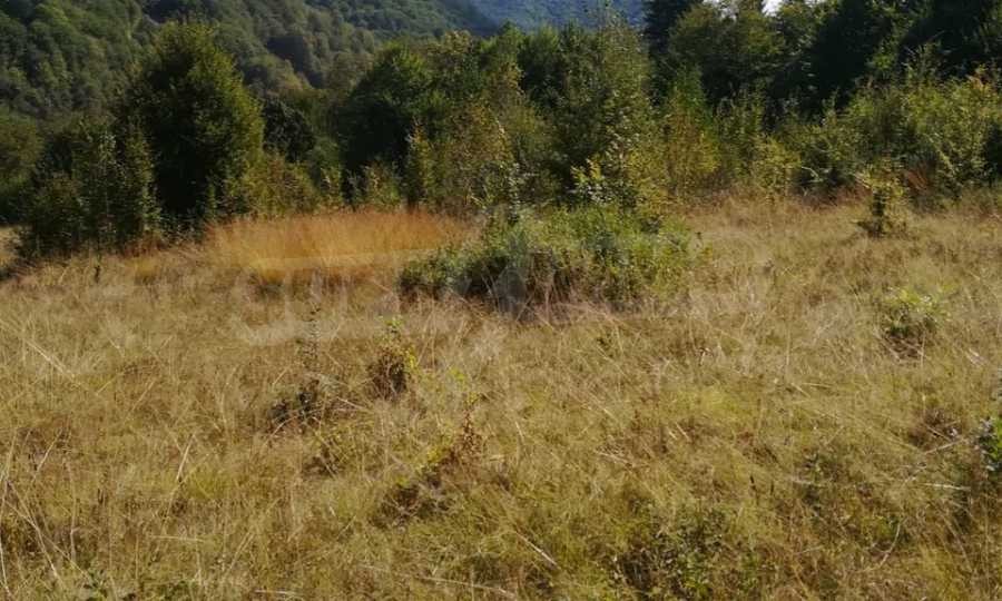 ������� ������ | Imot.bg � ����������� 15