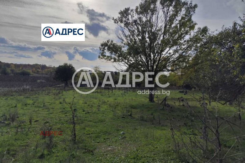 Продава ПРОМ. ПОМЕЩЕНИЕ, с. Водица, област Варна, снимка 8 - Производствени сгради - 53280455