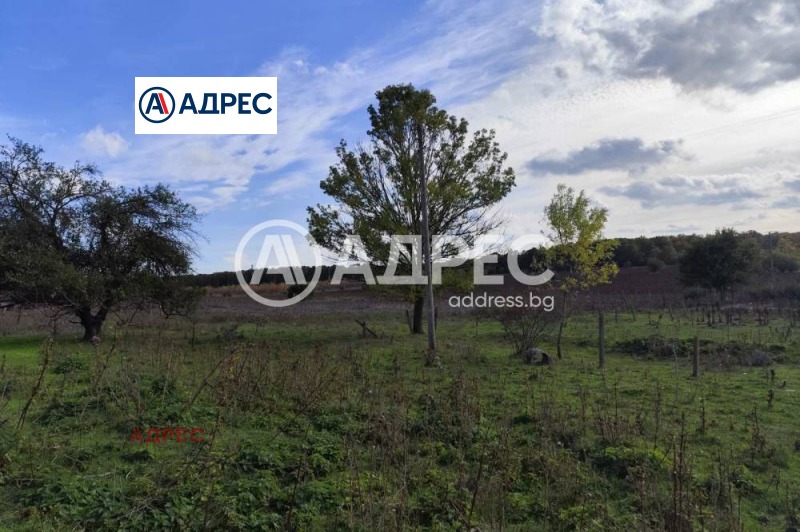 Продава ПРОМ. ПОМЕЩЕНИЕ, с. Водица, област Варна, снимка 4 - Производствени сгради - 53280455