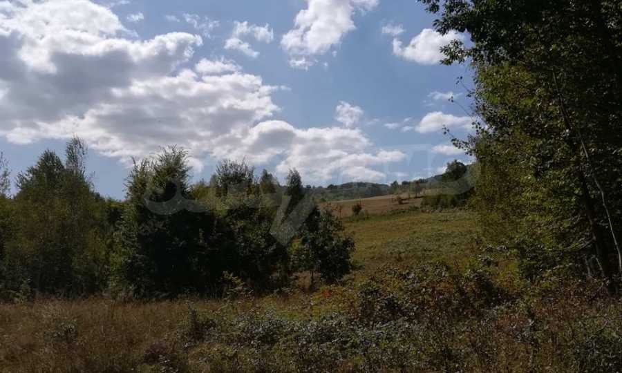 Продава ПАРЦЕЛ, с. Рибарица, област Ловеч, снимка 5 - Парцели - 53789580