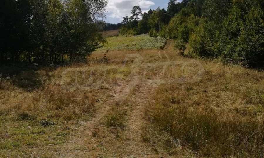 Продава ПАРЦЕЛ, с. Рибарица, област Ловеч, снимка 2 - Парцели - 53789580