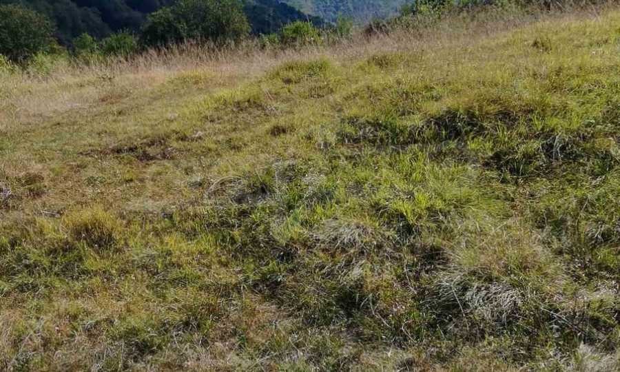 Продава ПАРЦЕЛ, с. Рибарица, област Ловеч, снимка 12 - Парцели - 53789580