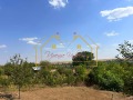 Продава КЪЩА, област Русе, с. Червена вода • 165000 лв. • 92576566 — Holmes.bg