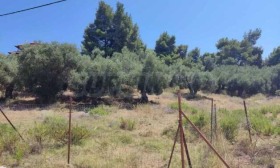 ������� ������ | Imot.bg � ����� ������ 2