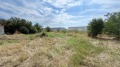 Продава ПАРЦЕЛ, с. Плодовитово, област Стара Загора, снимка 2
