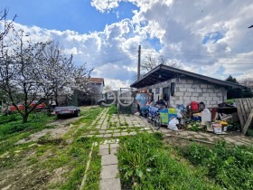 ������ ������� ����