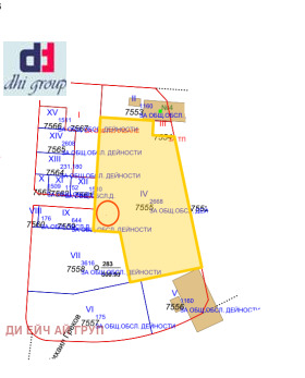 ����� ������� ������,���� �����, ���������