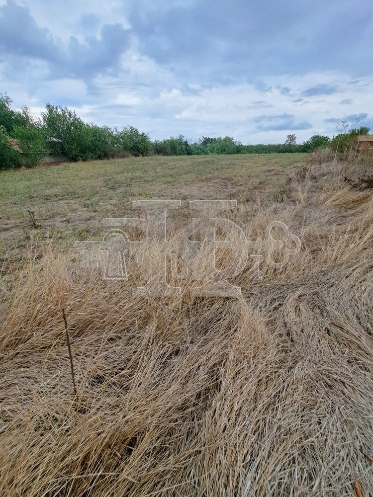 Продава  Къща област Варна , с. Караманите , 125 кв.м | 20051022 - изображение [10]