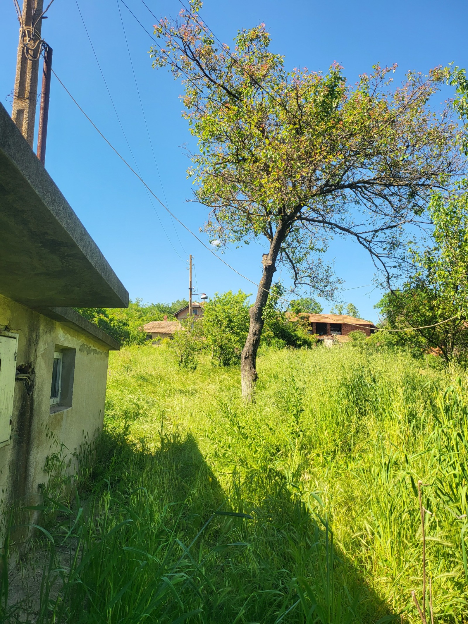 ������� ���� | Imot.bg � ����������� 7