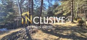 ����� ������� ������,���� �����, �. ���������