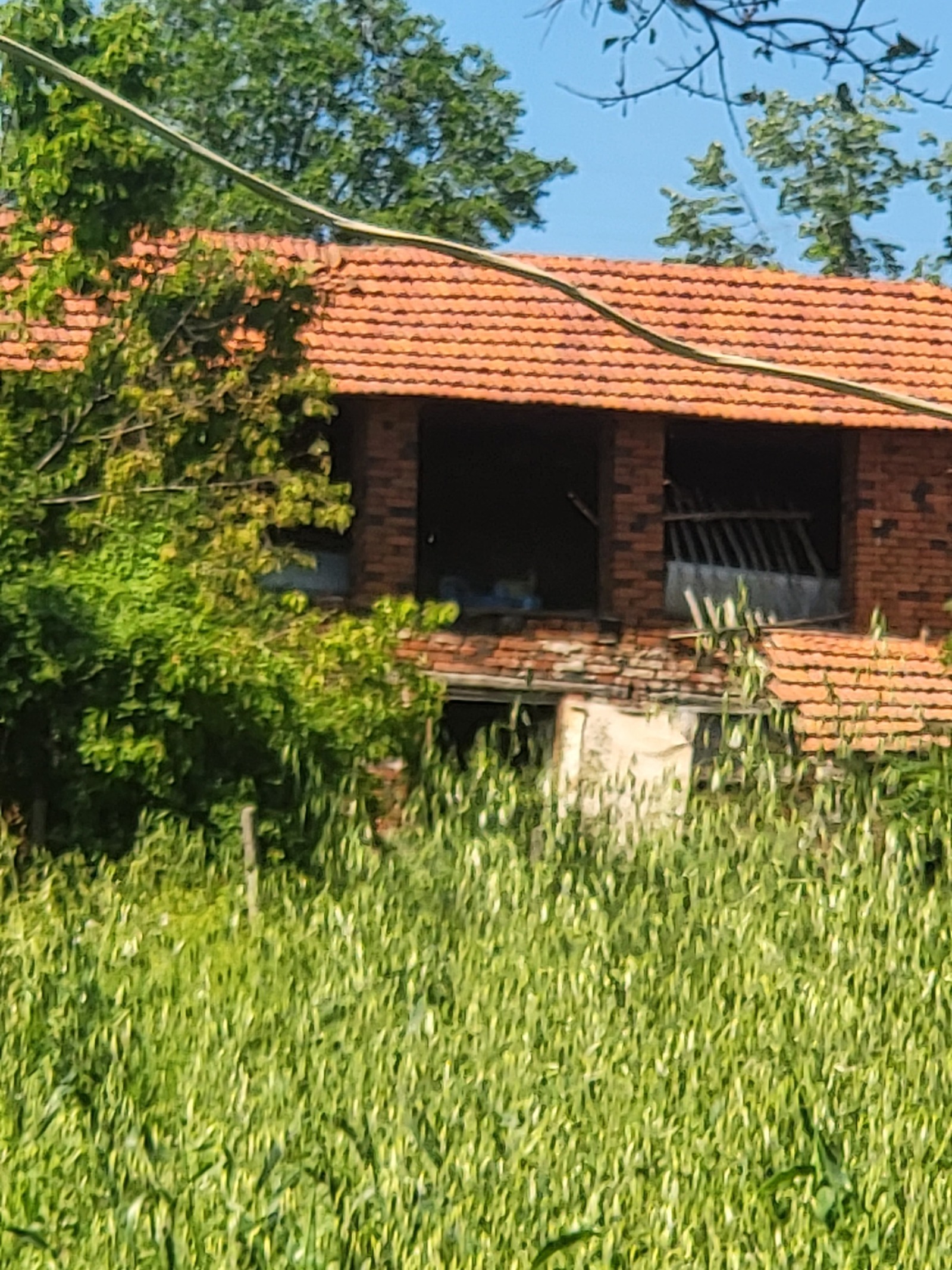 Продава КЪЩА, с. Радишево, област Плевен, снимка 4 - Къщи - 54487275