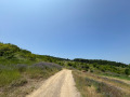 Продава ПАРЦЕЛ, град София, гр. Банкя • 100000 € • 93212395 — Holmes.bg