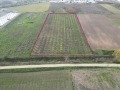 Продава ЗЕМЕДЕЛСКА ЗЕМЯ, с. Труд, област Пловдив, снимка 3