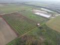 Продава ЗЕМЕДЕЛСКА ЗЕМЯ, с. Труд, област Пловдив, снимка 6