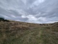 Продава  Земеделска земя област Благоевград , с. Изгрев , 1.121 дка | 33381691 - изображение [3]