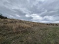 Продава  Земеделска земя област Благоевград , с. Изгрев , 1.121 дка | 33381691 - изображение [5]