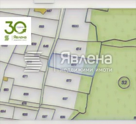 Trama Zvezdica, Varna