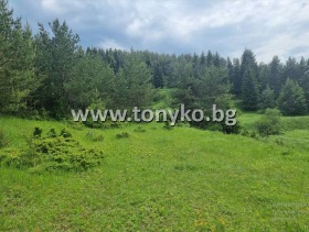 ������� ������ | Imot.bg � ����� ������ 2