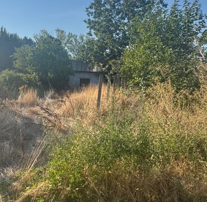 Продава КЪЩА, с. Йоаким Груево, област Пловдив, снимка 9 - Къщи - 52303068