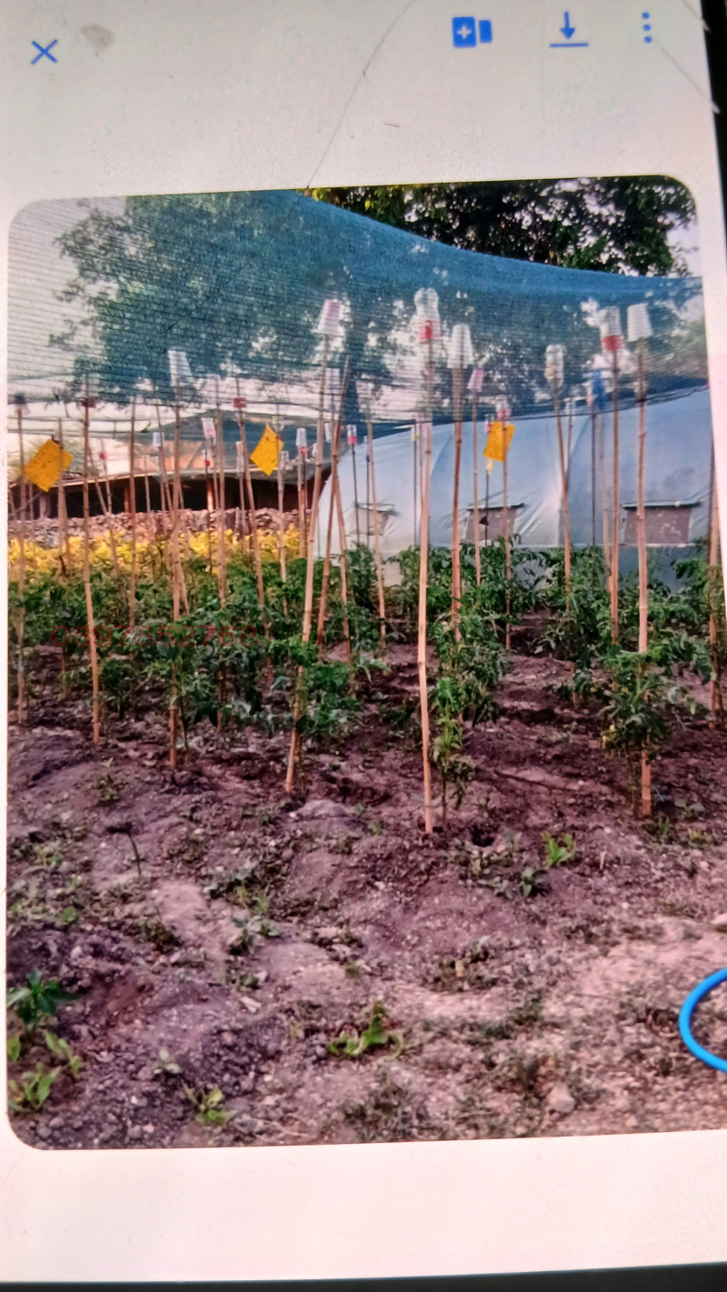 Продава ПАРЦЕЛ, с. Петров дол, област Варна, снимка 7 - Парцели - 53517332