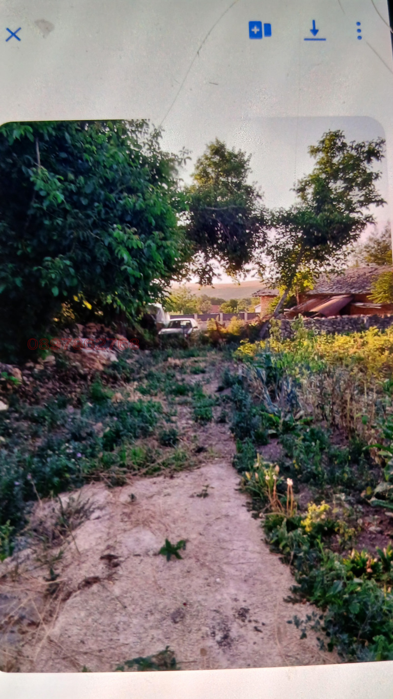 Продава ПАРЦЕЛ, с. Петров дол, област Варна, снимка 5 - Парцели - 53517332