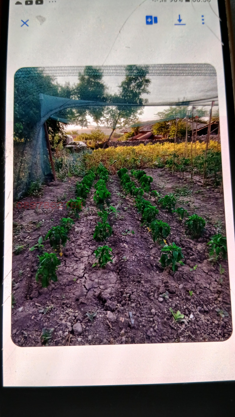 Продава ПАРЦЕЛ, с. Петров дол, област Варна, снимка 4 - Парцели - 53517332