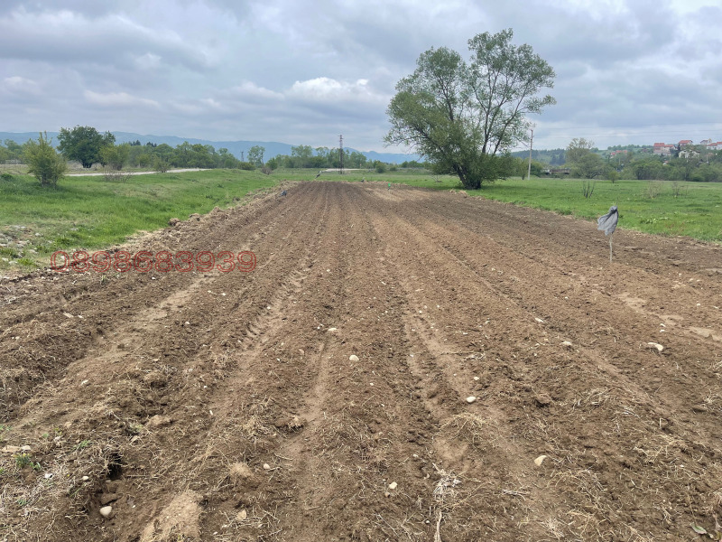 Продава ЗЕМЕДЕЛСКА ЗЕМЯ, с. Злокучене, област София област, снимка 2 - Земеделска земя - 52780225