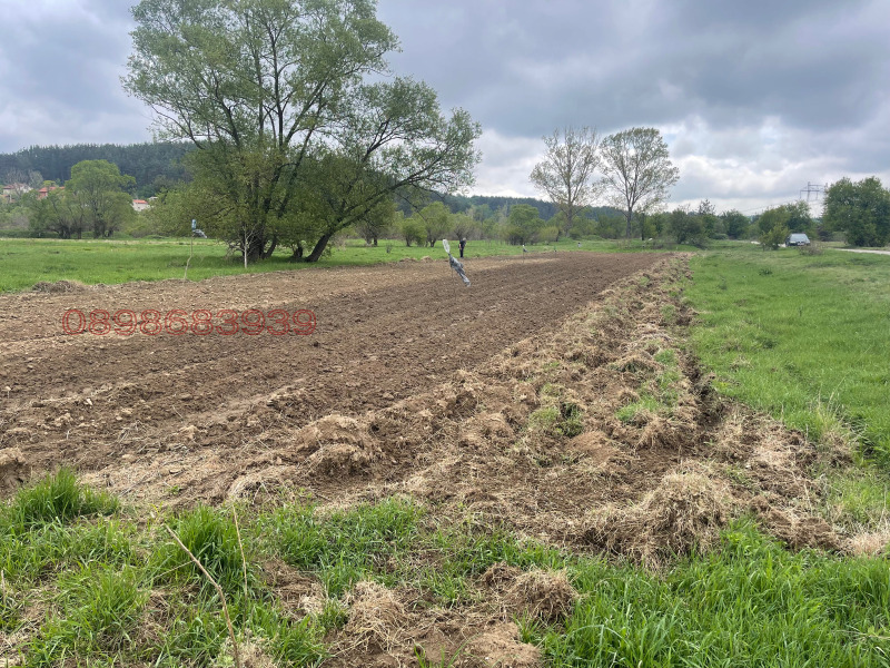 Продава ЗЕМЕДЕЛСКА ЗЕМЯ, с. Злокучене, област София област, снимка 6 - Земеделска земя - 52780225