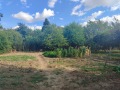 Продава КЪЩА, област Враца, с. Добролево • 36000 лв. • 28803202 — Holmes.bg