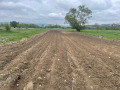 Продава ЗЕМЕДЕЛСКА ЗЕМЯ, с. Злокучене, област София област, снимка 2
