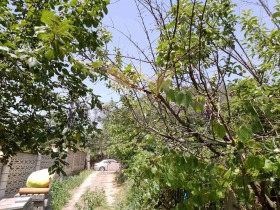 ������� ������ | Imot.bg � ����� ������ 5