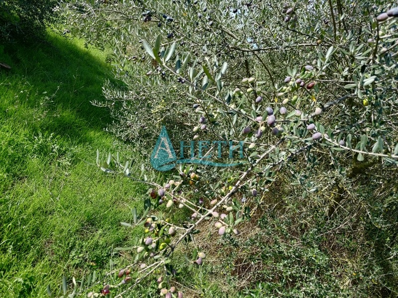 Продава ПАРЦЕЛ, Извън страната, област Извън страната, снимка 5 - Парцели - 52637866