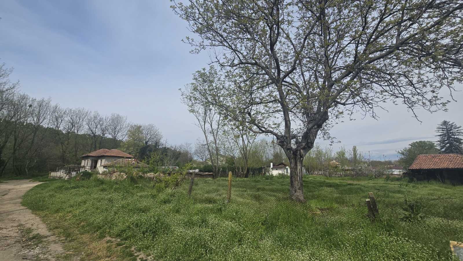 Продава ПАРЦЕЛ, с. Церетелево, област Пловдив, снимка 3 - Парцели - 54279665