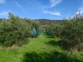 Продава ПАРЦЕЛ, Извън страната, област Извън страната, снимка 2