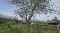 Продава ПАРЦЕЛ, с. Церетелево, област Пловдив, снимка 6