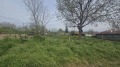 Продава ПАРЦЕЛ, с. Церетелево, област Пловдив, снимка 5