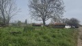 Продава ПАРЦЕЛ, с. Церетелево, област Пловдив, снимка 2
